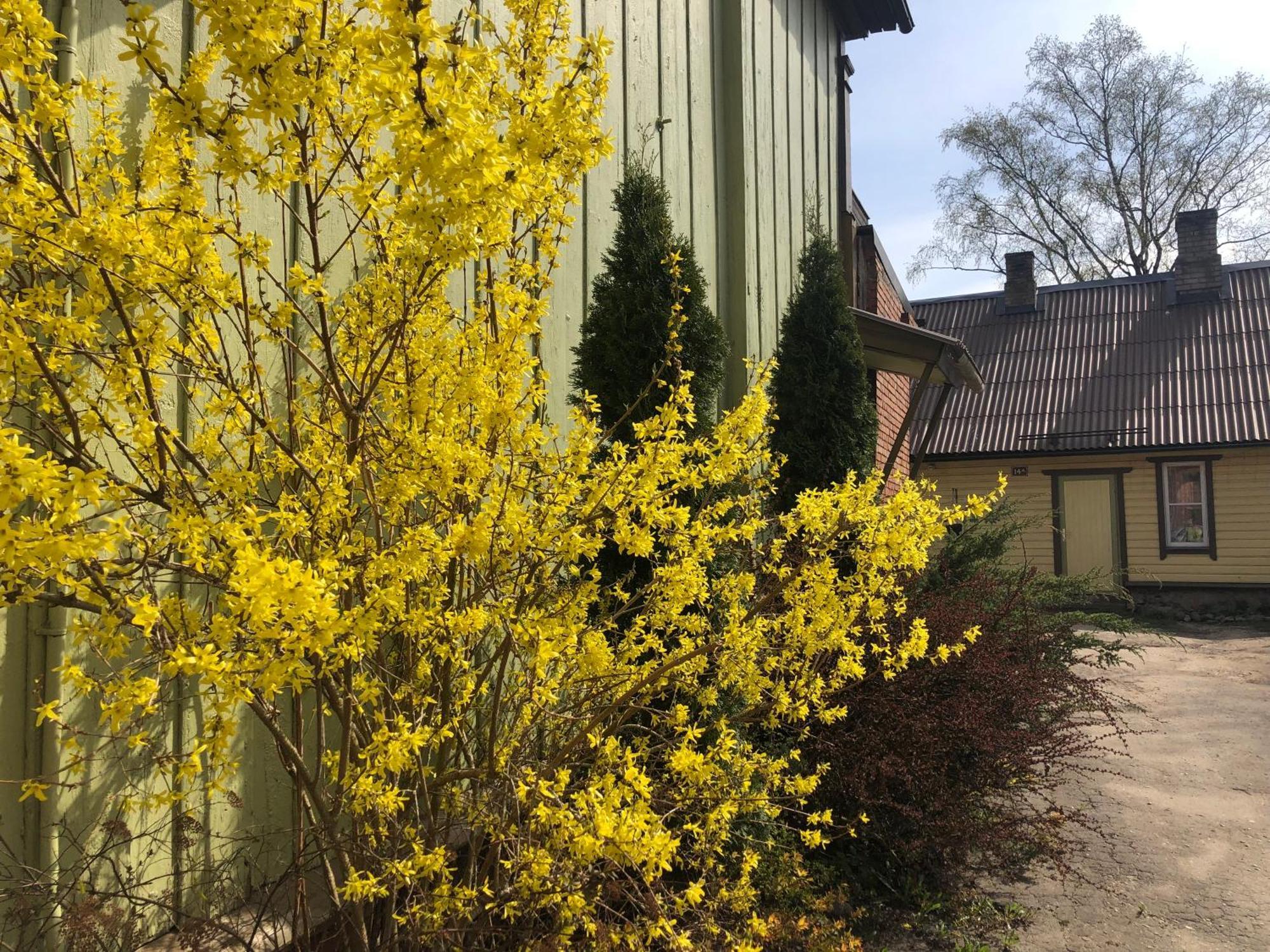 Posti Old Town Apartment Viljandi  Exterior foto